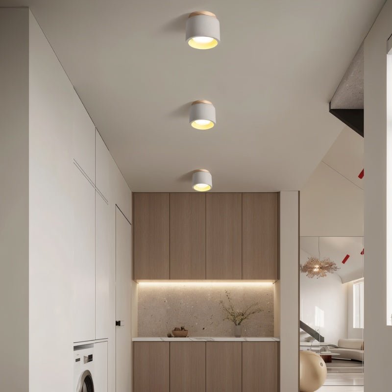 Nora Downlight