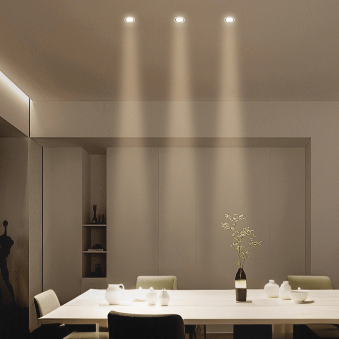 Torvane Adjustable Downlight