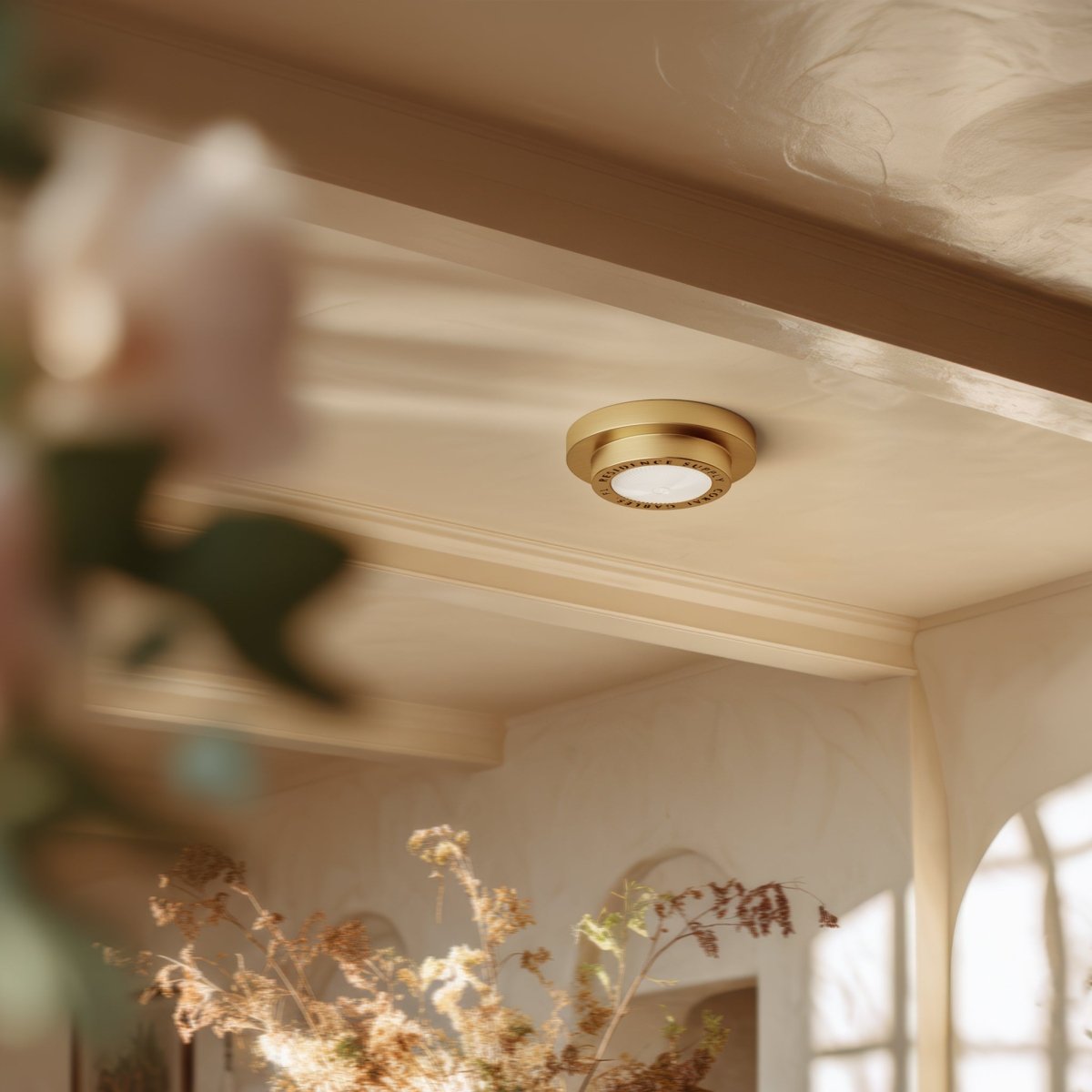Valnor Brass Ceiling Lamp