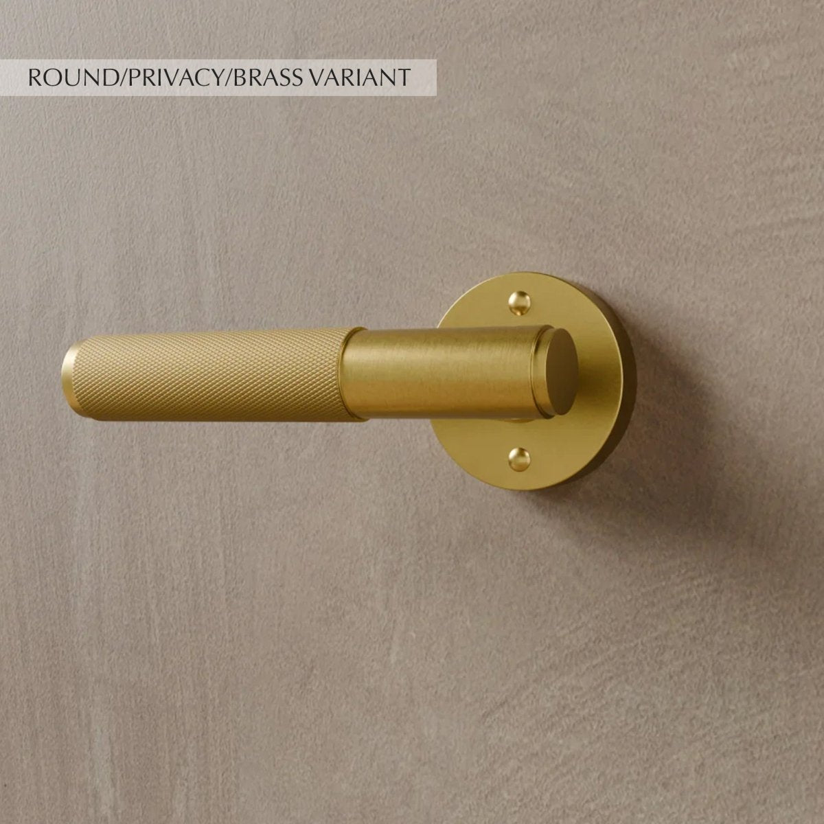 Valcor Brass Door Handle