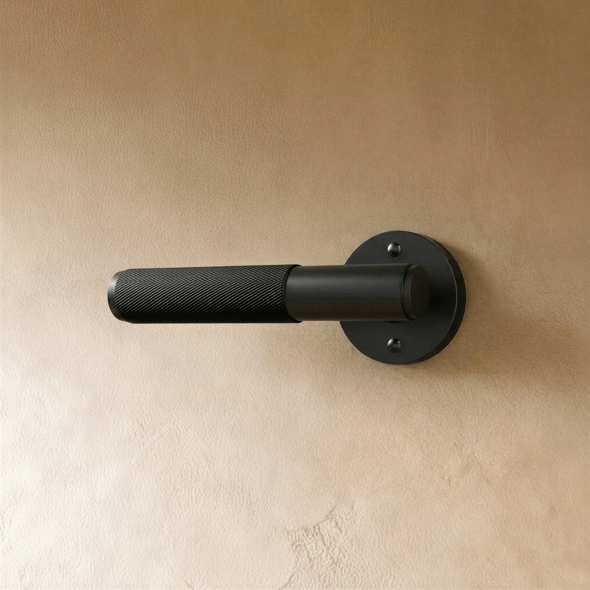 Valcor Brass Door Handle