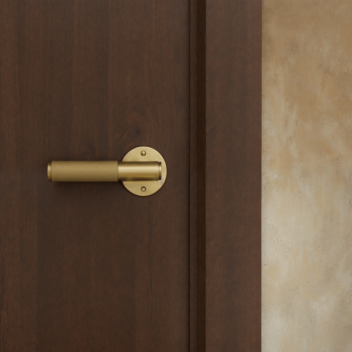 Valcor Brass Door Handle