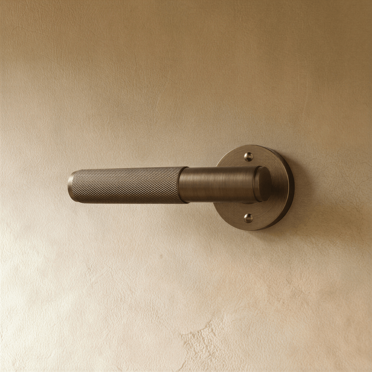 Valcor Brass Door Handle