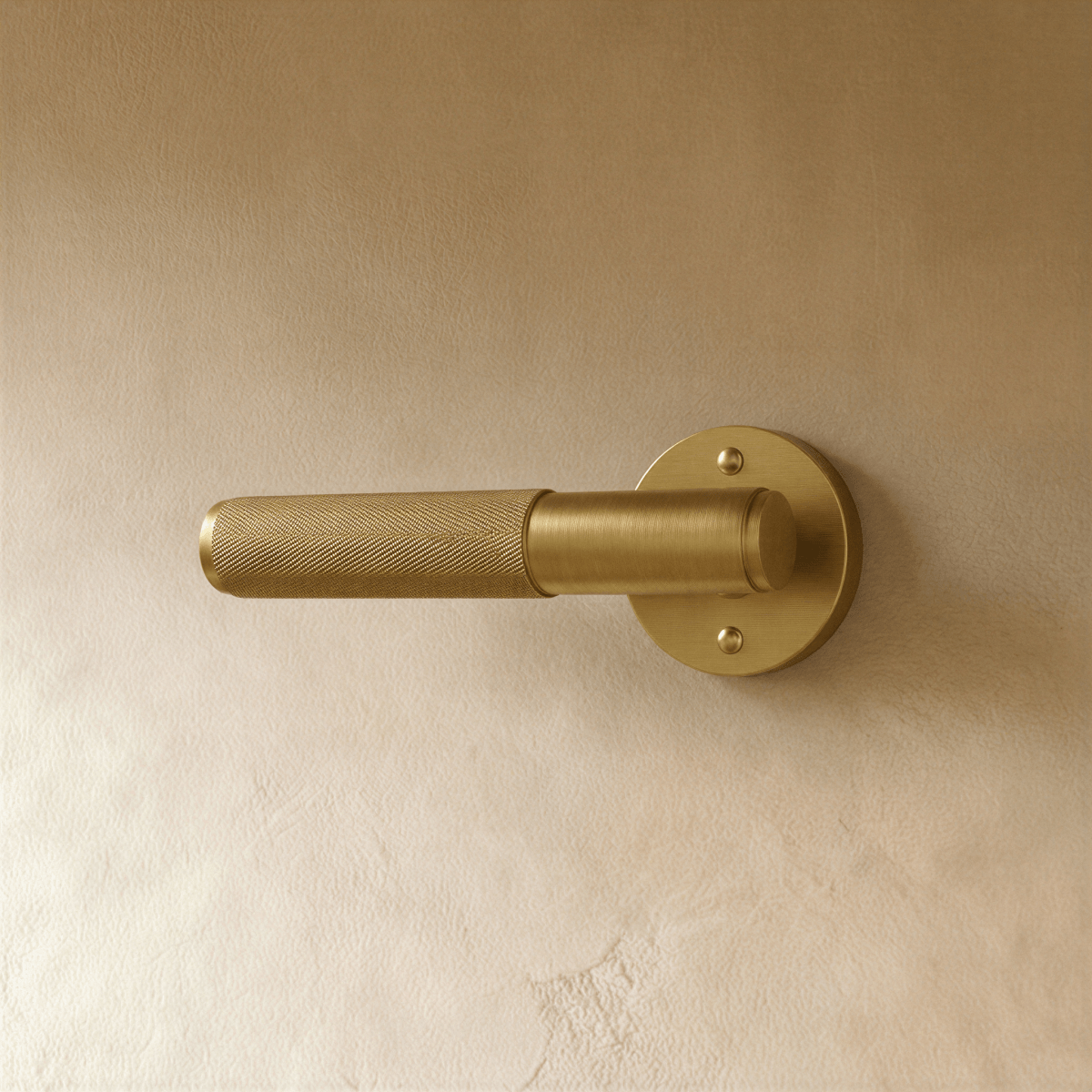 Valcor Brass Door Handle