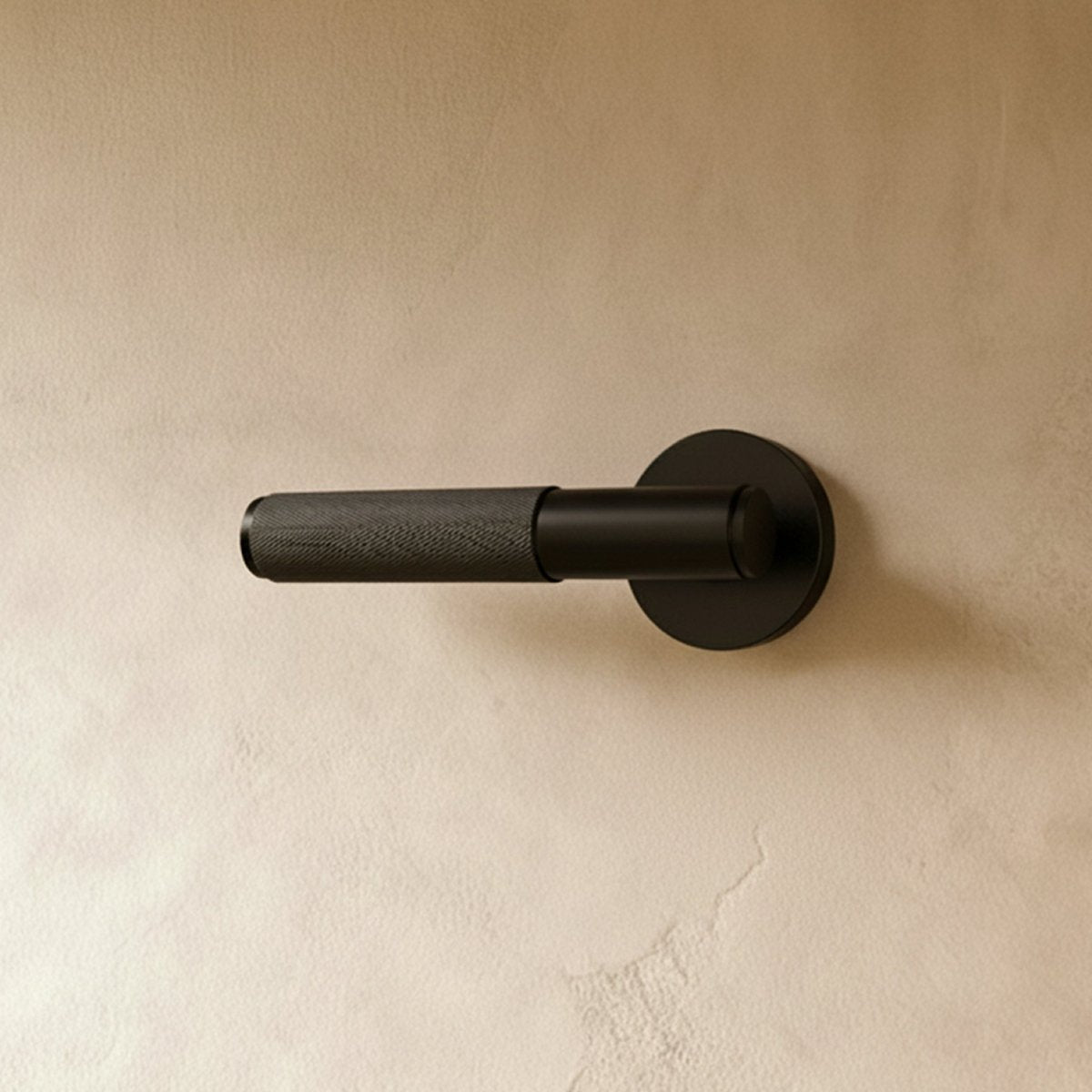 Valcor Brass Door Handle
