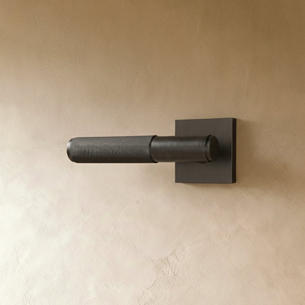 Valcor Brass Door Handle