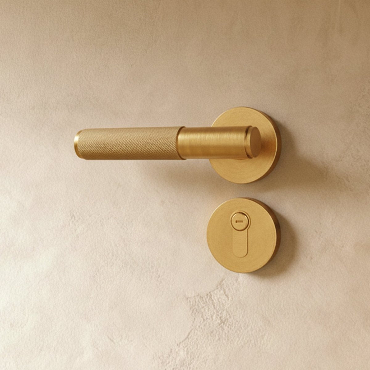 Valcor Brass Door Handle