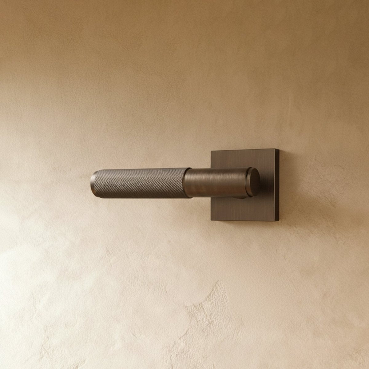 Valcor Brass Door Handle