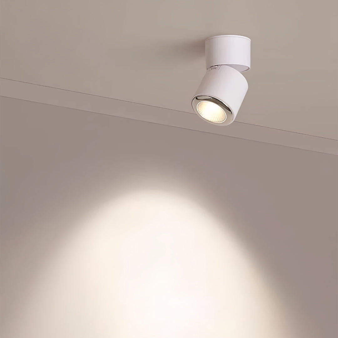 Kiara Directional Light