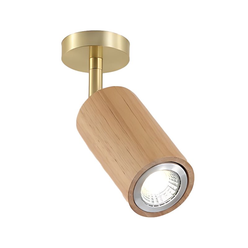 Lulu Directional Light